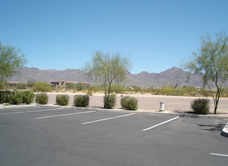 Desert landscape with sparse vegetation and mountains